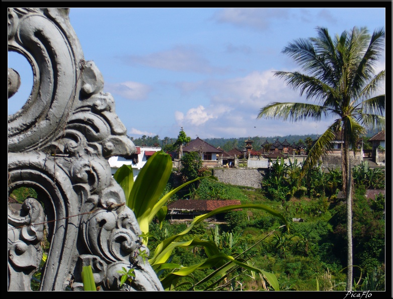 BALI_02_BEDUGUL_03.jpg