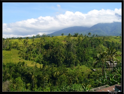 BALI 02 BEDUGUL 18