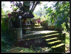 BALI 02 BEDUGUL 20