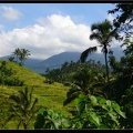 BALI 02 BEDUGUL 21