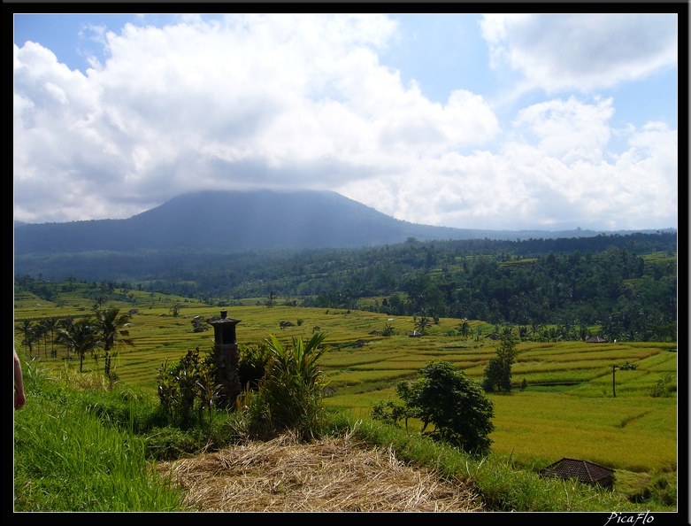 BALI 02 BEDUGUL 28