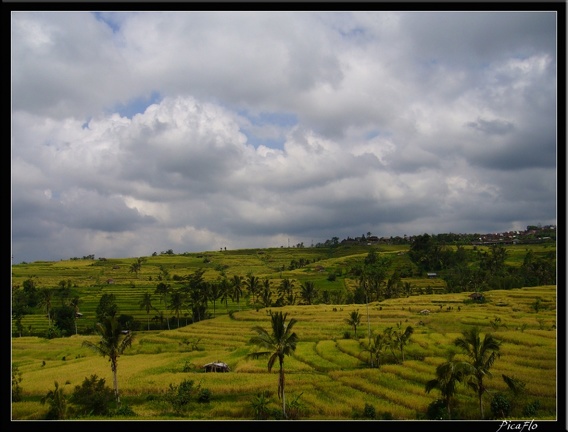 BALI 02 BEDUGUL 33