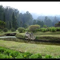 BALI 02 BEDUGUL 51