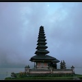 BALI 02 BEDUGUL 73