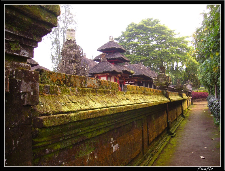 BALI 02 BEDUGUL 78