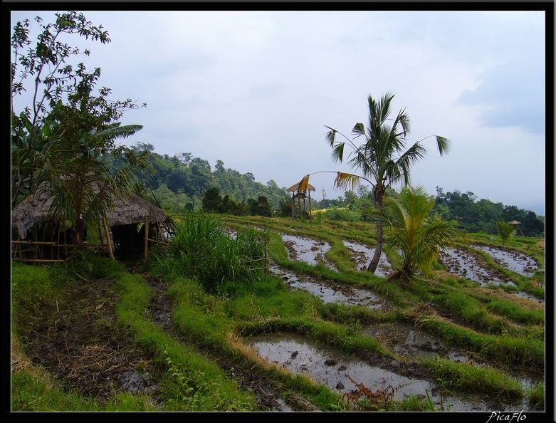 BALI_03_MUNDUK_27.jpg