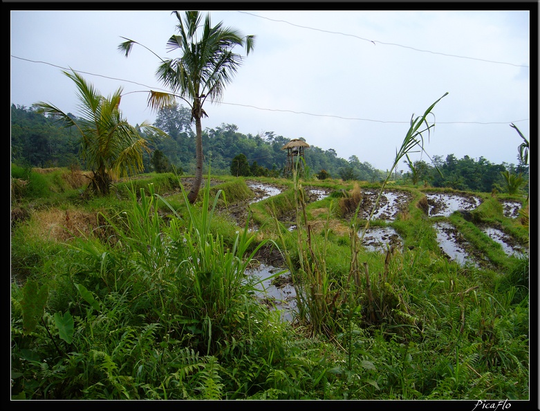 BALI_03_MUNDUK_29.jpg