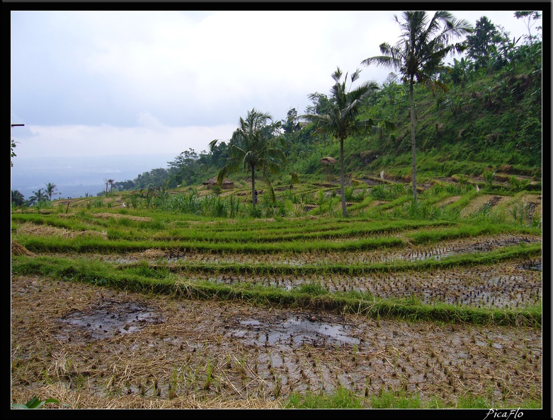 BALI_03_MUNDUK_30.jpg