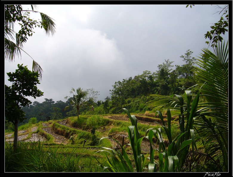 BALI_03_MUNDUK_34.jpg