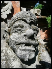 BALI 12 UBUD 29