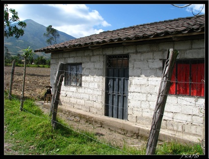 EQUATEUR 02 OTAVALO 21