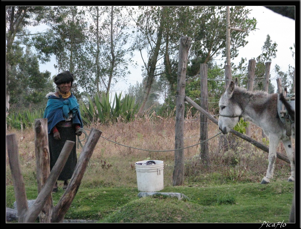 EQUATEUR 03 CUICOCHA 36