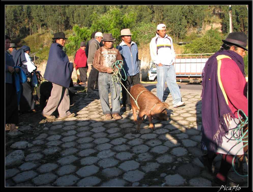 EQUATEUR 05 OTAVALO 03