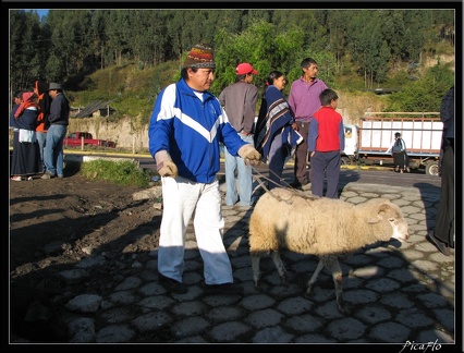 EQUATEUR 05 OTAVALO 04