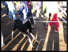 EQUATEUR 05 OTAVALO 07