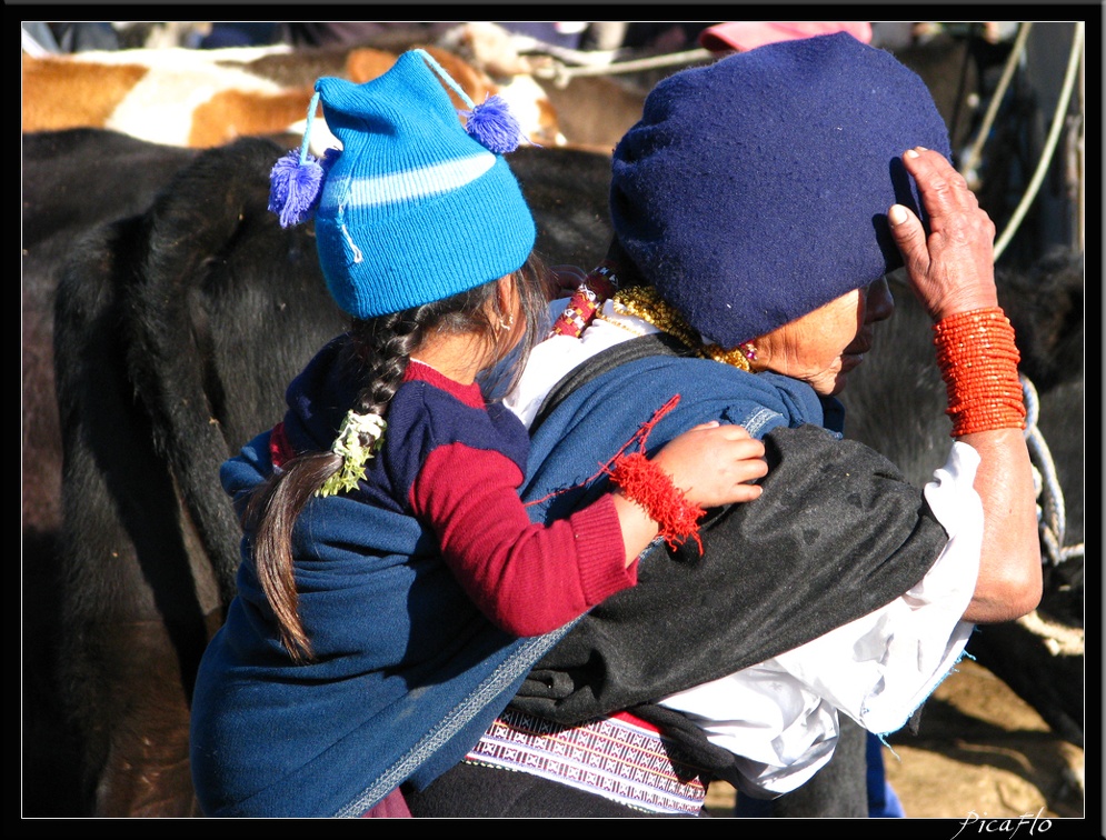 EQUATEUR 05 OTAVALO 17