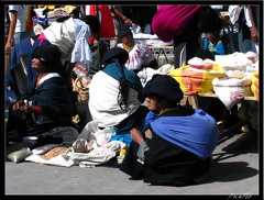 EQUATEUR 05 OTAVALO 28