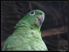 EQUATEUR 09 AMAZONIE 27