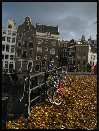 AMSTERDAM 082