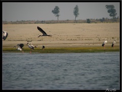 INDE NORD 04 VARANASI SARNATH 002