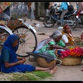 INDE NORD 04 VARANASI SARNATH 031