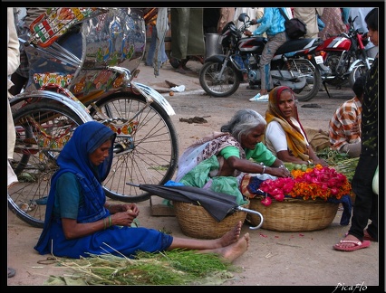 INDE NORD 04 VARANASI SARNATH 031