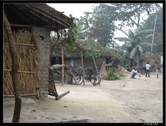 NEPAL 06 LUMBINI 005