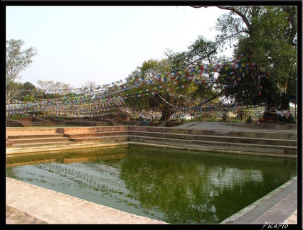 NEPAL 06 LUMBINI 037