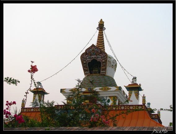 NEPAL 06 LUMBINI 056