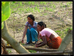 NEPAL 07 CHITWAN 026