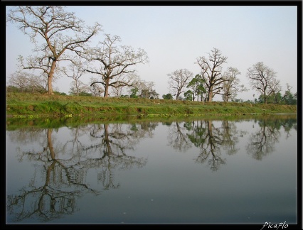 NEPAL 08 PARC CHITWAN 021