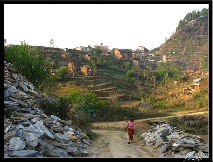 NEPAL 09 BANDIPUR 079