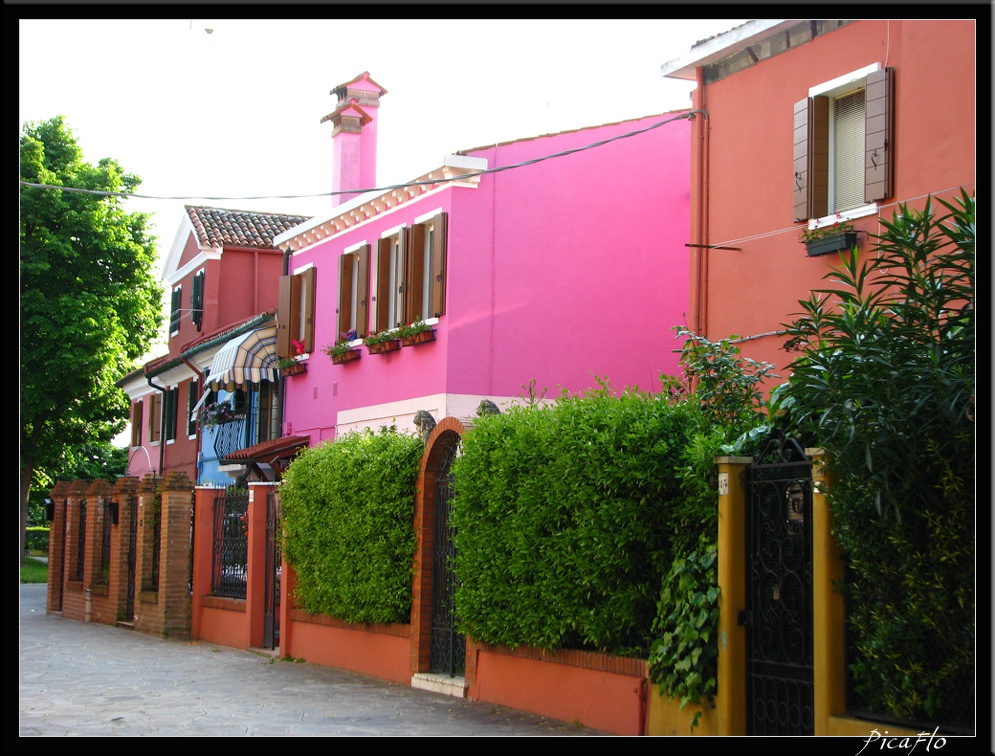 BURANO 016