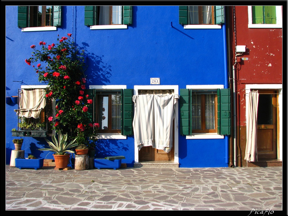 BURANO 019