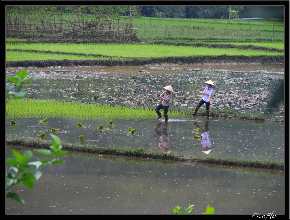 VIETNAM 04 LACS BA BE 003