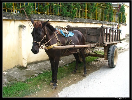 VIETNAM 05 CAO BANG 028