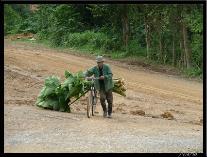 VIETNAM 09 TREK 001