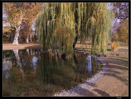 01 Schlossgarten Rosensteinpark Wilhelma 008