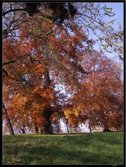 01 Schlossgarten Rosensteinpark Wilhelma 034