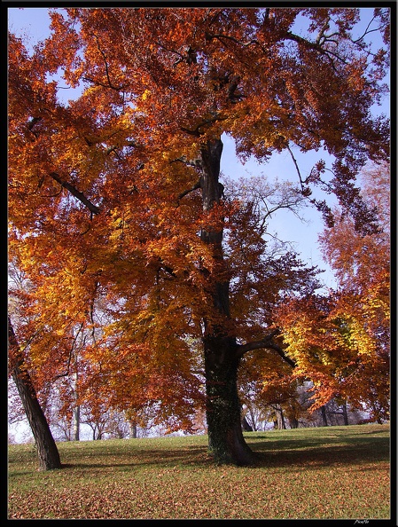 01_Schlossgarten_Rosensteinpark_Wilhelma_035.jpg