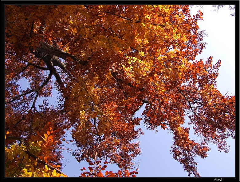 01_Schlossgarten_Rosensteinpark_Wilhelma_036.jpg