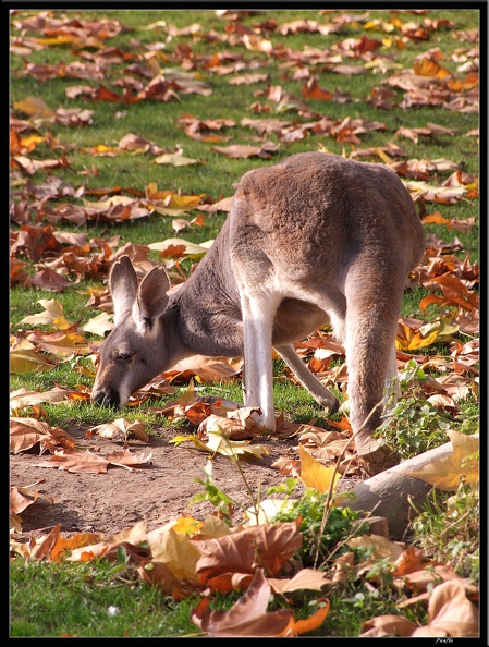 01_Schlossgarten_Rosensteinpark_Wilhelma_043.jpg