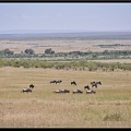 Kenya 01 Masai Mara 053