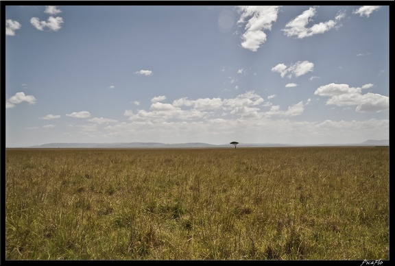 Kenya 01 Masai Mara 071