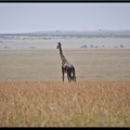 Kenya 01 Masai Mara 076