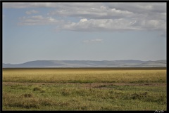 Kenya 01 Masai Mara 129