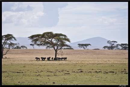 Kenya 03 Crescent Islands 052