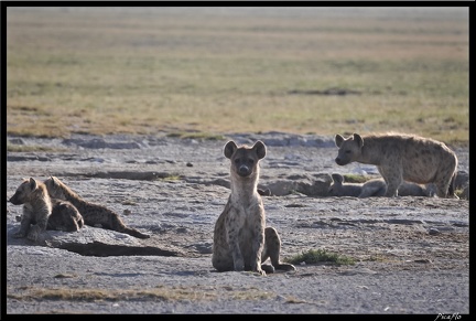 Kenya 04 Amboseli 020