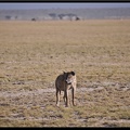 Kenya 04 Amboseli 023