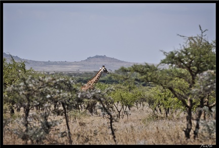 Kenya 07 Routes 023